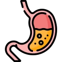 oesophage