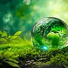 Environnement