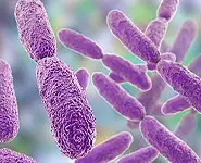 Infection